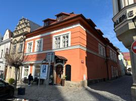 Penzion Tlust&aacute; kachna, &xi;&epsilon;&nu;&omicron;&delta;&omicron;&chi;&epsilon;ί&omicron; &mu;&epsilon; &pi;ά&rho;&kappa;&iota;&nu;&gamma;&kappa; &sigma;&epsilon; Chrudim