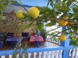 Blue House Town