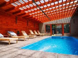 Cabañas hualle sur cerca huilo huilo
