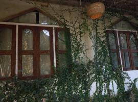 Backpackers eco village, kemp v destinaci Japur