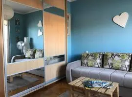 Recently renovated room with Danube view