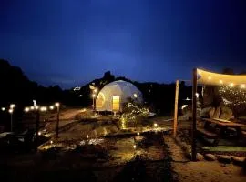 Stunning Geo Dome with Joshua Tree vibes