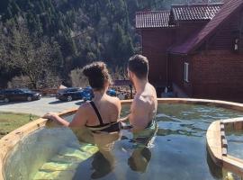 Pensiunea Cabana Viselor ,Apuseni, lodge in Vadu Moţilor