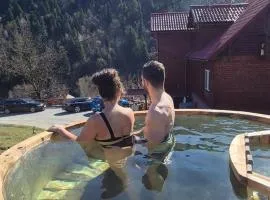 Pensiunea Cabana Viselor ,Apuseni