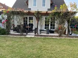 Stylish house with garden view