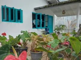 Amma's Garden