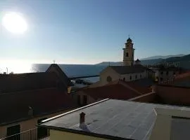 I fiori di santo stefano