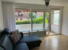 Simple Rhine view apartment