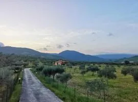 Casa L'ulivo Burgio Nature view