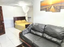 LADVILLE Apartment near Kingstown #1
