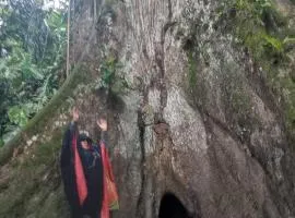 Hostal Tachiwa Curinisi Huasi