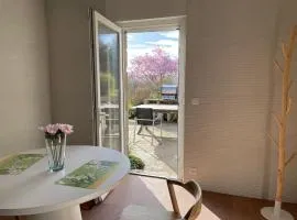 Romantic apartment with heated pool and large park