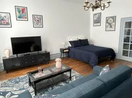 Appartement centre ville