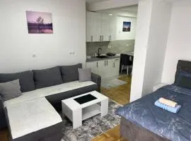 Apartman David