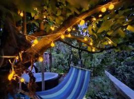 Lemon Garden Apartment-Hot Tub Jacuzzi