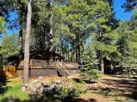 Twin Pines Cabin in the Woods