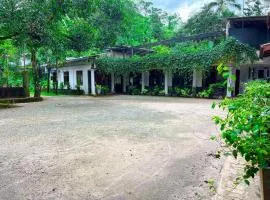 The Cave Retreat