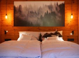 Rinken9, hotel in Hinterzarten