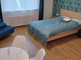 Center & homely Apartment