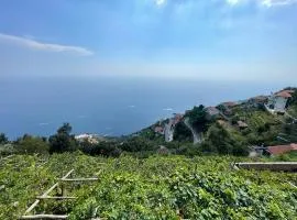 B&b La Vigna