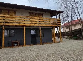 Vila Curtea de Arges