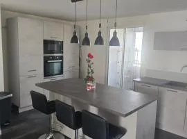 Le belle vu appartement T2 65m2