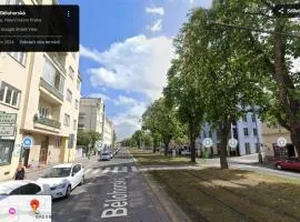 Apt 100 Prague