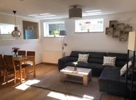 Rheingau und Weltkulturerbe Mittelrheintal erleben - Ferienappartement in Winkel