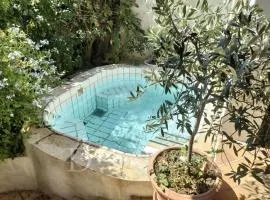 Cosy tiny home near Grasse