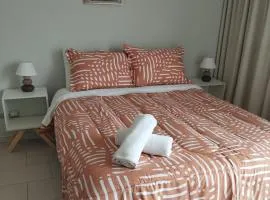 Open Suite 1