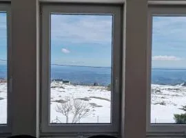 Fireplace 4 Bedrooms 1500 M