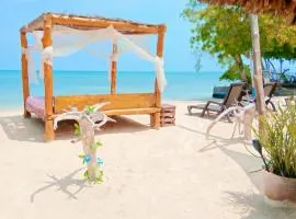 Tintipán Glamping