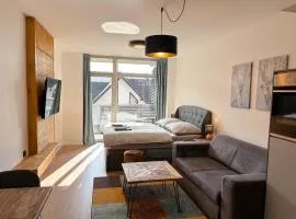 Apartmán Čertovka, Harrachov