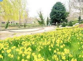 Charming Motorhome Adventure in the Heart of Maidstone