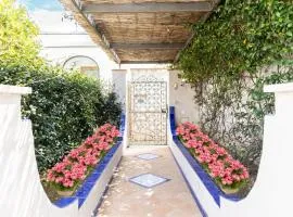 Maison Blue Capri