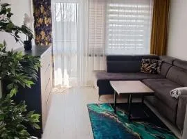 LUXURY apartment 2