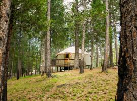 Yosemite Lakes Hillside Yurt 14, holiday rental in Harden Flat