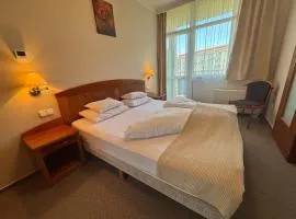 Alma Wellness Apartman 923