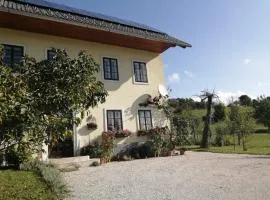 Marta's House