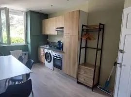 Apartment T2 l'ARENA