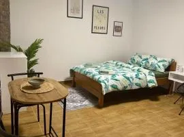 Apartman 8