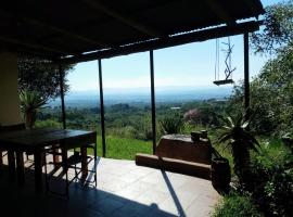 Bushwhacked Barberton