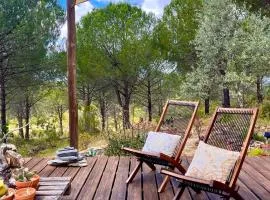 Beautiful country home immersed in pine nut farm