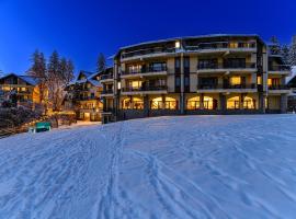 Hotel Casa Viorel jacuzzi & saunas, hotel v destinaci Poiana Brašov