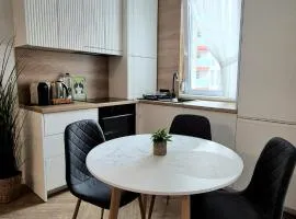 Scandi LOFT 93 Oradea ARED