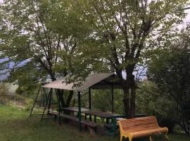 Green Yard