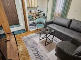 Mimoza Apartment in Budva