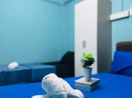 1br 3pax near usm Netflix