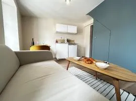 E5 Reton T2 chic et confortable au coeur d Epernay