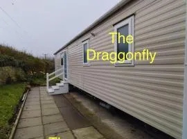 The Dragonfly Presthaven Sands